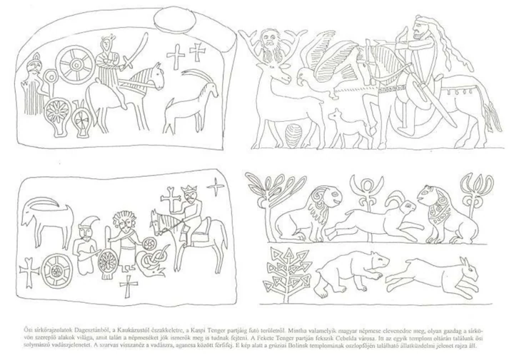 Author-confirmed figure from the publication