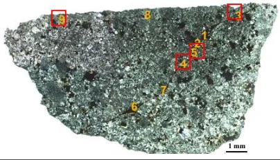 Author-confirmed figure from the publication