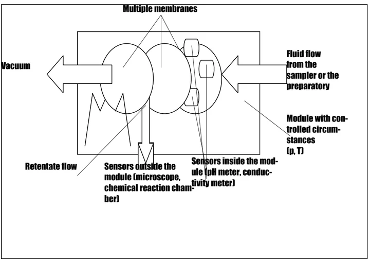 Author-confirmed figure from the publication