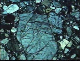 Author-confirmed figure from the publication