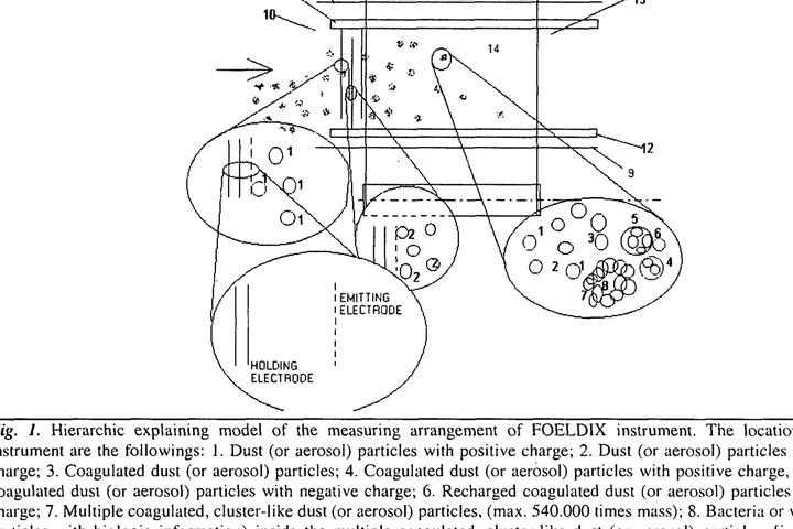 Author-confirmed figure from the publication