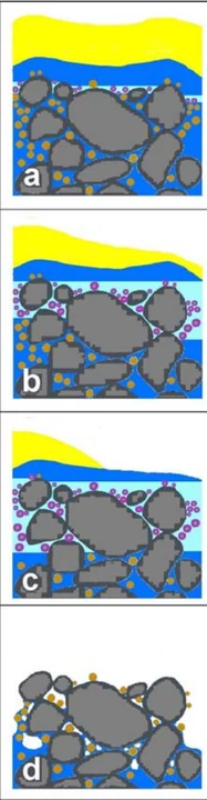 Author-confirmed figure from the publication