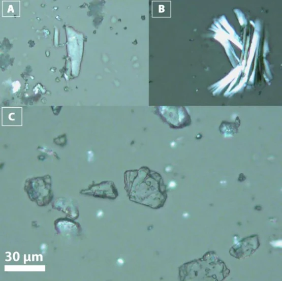 Author-confirmed figure from the publication