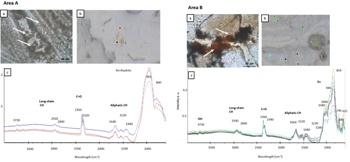 ALH-77005 measurement locations and FTIR spectra