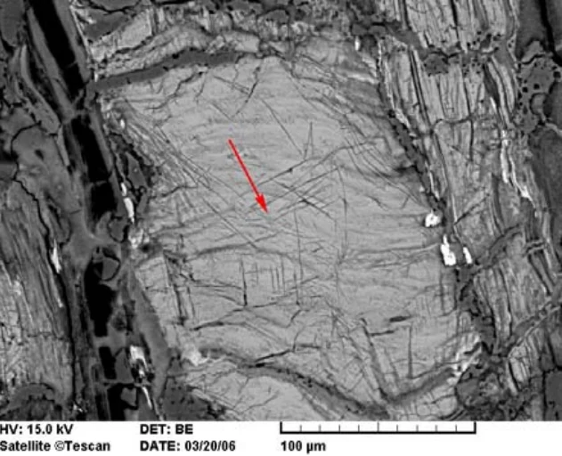 SEM observations of shocked Bosumtwi feldspar