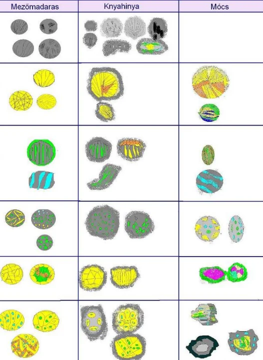 Observed chondrule alteration textures