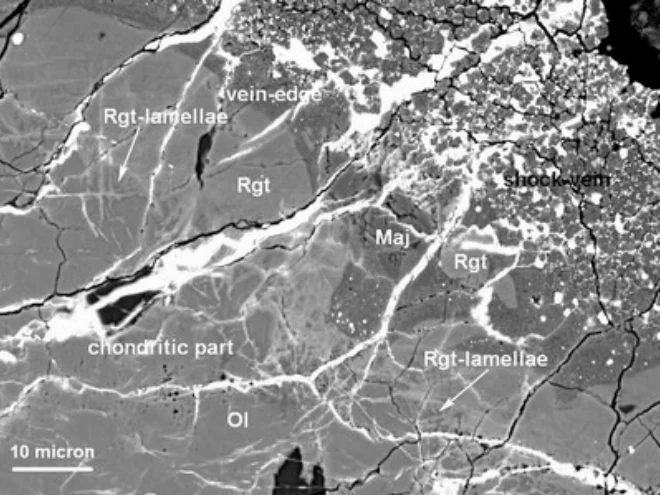 SEM image of ringwoodite lamellae in a shock vein