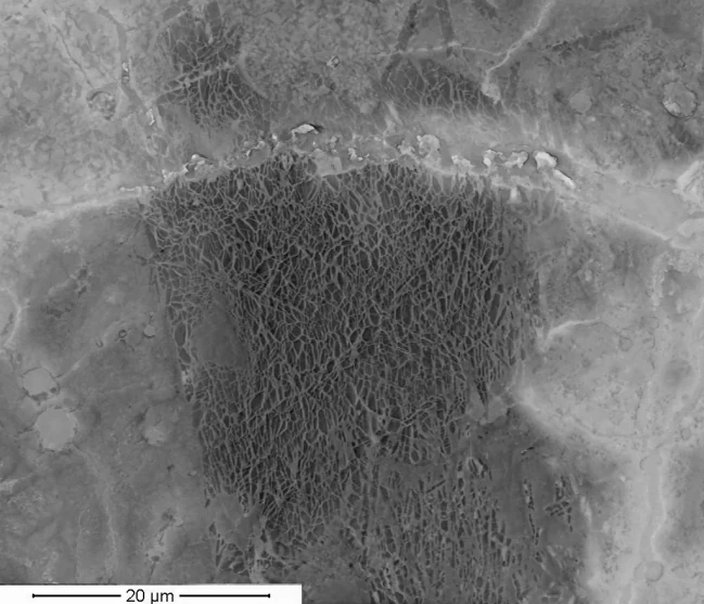 Observed akimotoite microstructure in NWA 5011