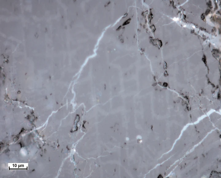 Ringwoodite lamellae photographed by coauthor Sz. Nagy