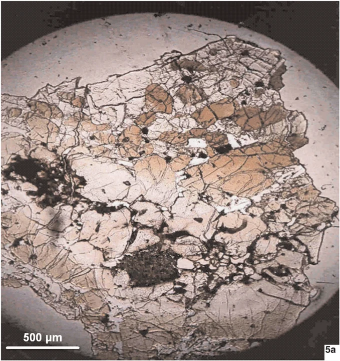Optical microscopy of the studied ALH 77005 sample