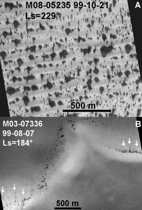 Author-confirmed figure from the publication