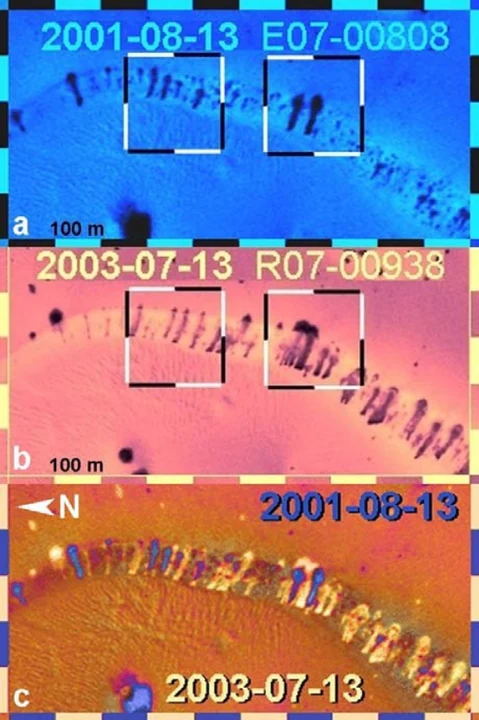 Author-confirmed figure from the publication