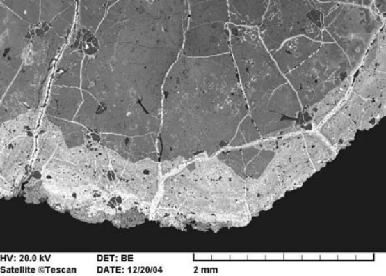Author-confirmed figure from the publication