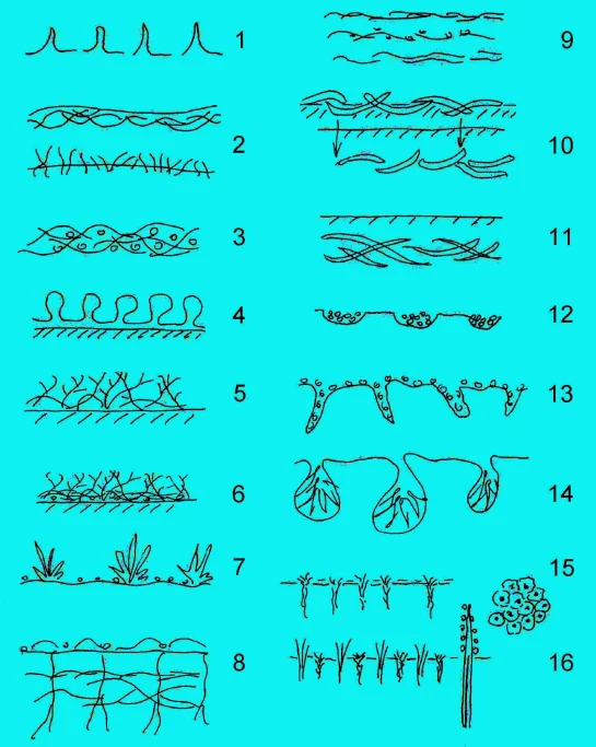 Author-confirmed figure from the publication