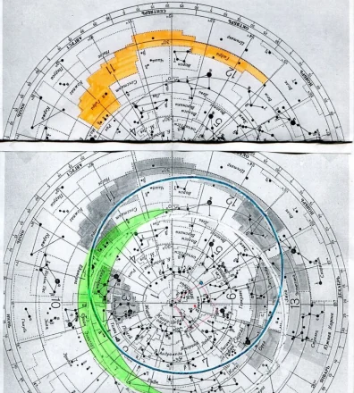 Author-confirmed figure from the publication