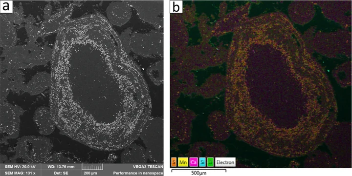 A cikk saját ábrája: Microbial mediation on the development of the Molango manganese ore Deposits, Mexico