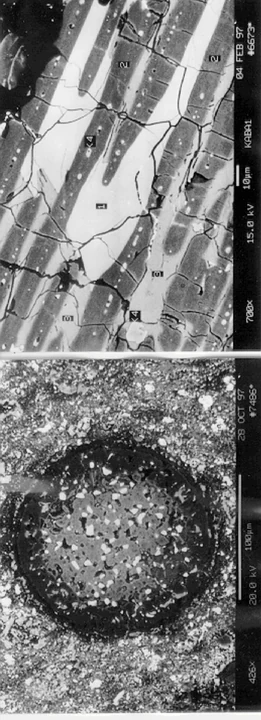 A cikk saját ábrája: Kaba CV3 chondrite: Oriented overall texture and refractory spherule in a new, large surface thin section
