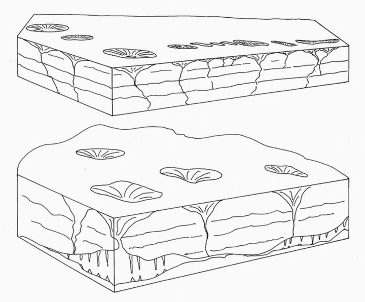 A cikk saját ábrája: Possibility of karst morphology on the Martian surface at the Meridiani landing site from comparison with terrestrial analogs. #1051