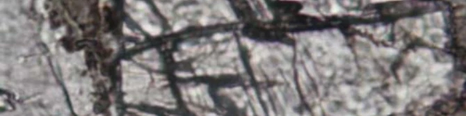 Observed shock deformation of garnet