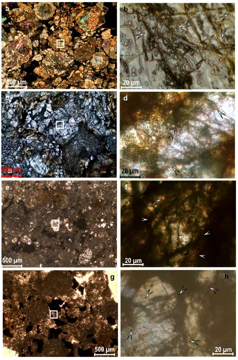 Microscopic observations of chondrite alteration